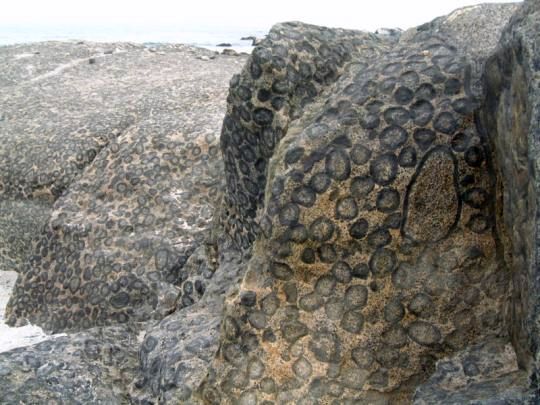 سنگ گرانیت مدوّر (Orbicular Granite)